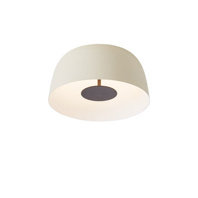 Trizep Ceiling Light