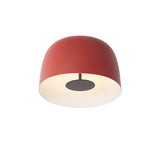 Trizep Ceiling Light