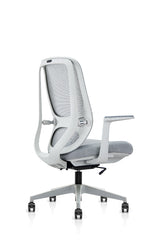 Spinemary Grey Shell Chair