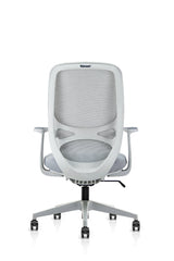 Spinemary Grey Shell Chair